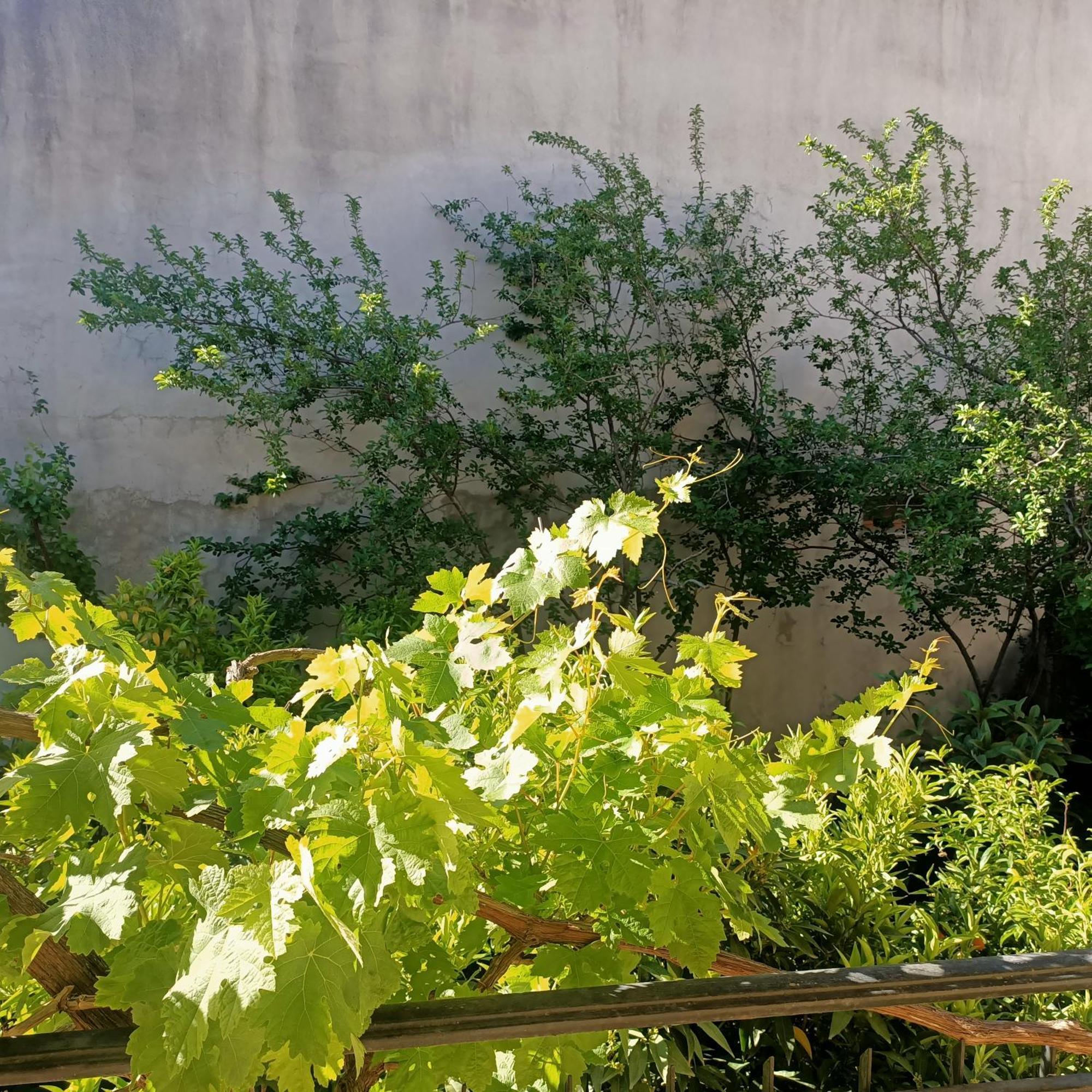 Janas House Apartment Bari Sardo Exterior foto